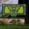 Absinthe - La Fee Verte Embossed Purse 18.5cm Nicht spezifiziert Gifts Under £100