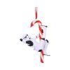 Stormtrooper Candy Cane Hanging Ornament 12cm Sci-Fi Sci-Fi