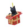 Present Cat Hanging Ornament (LP) 9cm Cats Cats