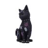 Bad to the Bone 22cm Cats Gifts Under £100