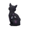 Bad to the Bone 22cm Cats Gifts Under £100