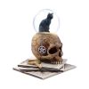 Spirits of Salem Snow Globe (LP) Cats Verkaufte Artikel