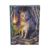 Book of Shadows Journal (LP) 17cm Cats Gifts Under £100