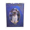 Hocus Pocus Journal (LP) 17cm Cats Gifts Under £100