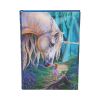 Fairy Whispers Journal (LP) 17cm Unicorns Gifts Under £100
