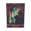 Absinthe Journal (LP) 17cm Cats Gifts Under £100