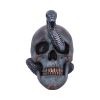 Serpentine Fate 19cm Skulls Gifts Under £100
