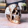 Time Goes By 17.5cm Skulls Gifts Under £100