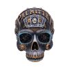 Destiny 18cm Skulls Gifts Under £100