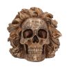 The Theory of Relativity 21cm Skulls Gifts Under £100