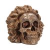 The Theory of Relativity 21cm Skulls Gifts Under £100