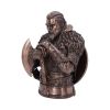 Assassin's Creed Valhalla Eivor Bust (Bronze) 31cm Gaming Boxes