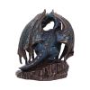 Protector of Magick (LP) Bronze 17.5cm Dragons Year Of The Dragon