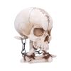 The Reckoning 14.5cm Skulls Gifts Under £100