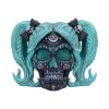 Drop Dead Gorgeous - Cute and Cosmic 19.5cm Skulls Wieder auf Lager
