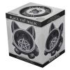 Black Cat Magic 16cm Cats Stock Release Spring - Week 1