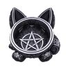 Black Cat Magic 16cm Cats Stock Release Spring - Week 1