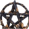 Floral Pentagram 16.5cm Witchcraft & Wiccan New Arrivals