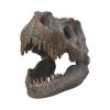 Tyrannosaurus Rex Skull Freestanding 16cm Dinosaurs Wieder auf Lager