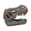 Tyrannosaurus Rex Skull Freestanding 16cm Dinosaurs Out Of Stock