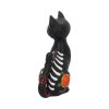 Sugar Kitty 26cm Cats Gifts Under £100