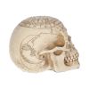 Astrological Skull 20cm Skulls Gifts Under £100
