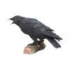 Raven's Call 20cm Ravens Raben