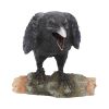 Raven's Call 20cm Ravens Out Of Stock