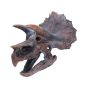 Triceratops Head 23cm Dinosaurs Gifts Under £100