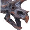 Triceratops Head 23cm Dinosaurs Gifts Under £100