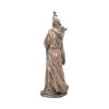 Merlin Bronze 47cm (Large) History and Mythology NN Groß Figuren
