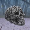 Hell's Desire 18cm Skulls Out Of Stock