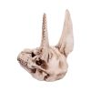 Anubis Skull 17cm Skulls Gifts Under £100