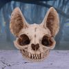 Bastet's Secret 15cm Animal Skulls Wieder auf Lager