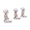 Three Wise Skellywags 13cm (Set of 3) Skeletons Roll Back Offer