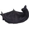 Winged Watcher 24.1cm Bats Gifts Under £100