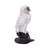 Soren 15.3cm Owls Verkaufte Artikel