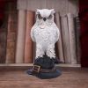 Soren 15.3cm Owls Verkaufte Artikel