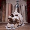 Tapped 24cm Skulls Gifts Under £100