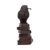 Spellcraft 14cm Owls Statues Small (Under 15cm)