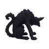 Spite (Small) 16cm Cats Gifts Under £100