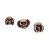 Three Wise Skulls 7.6cm Skulls Gifts Under £100