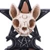 Familiar Worship Backflow Incense Burner 15.3cm Animal Skulls Tierische Schädel