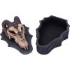 Dragon Skull Box (Monte Moore) 17.7cm Dragons Year Of The Dragon