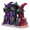 Three Wise Witchy Kittys 15.3cm Cats Wieder auf Lager