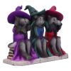 Three Wise Witchy Kittys 15.3cm Cats Wieder auf Lager