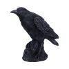 Raven Messenger 25cm Ravens New Arrivals