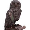 An Owl's Tale 14.5cm Owls Demnächst verfügbar