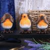 Three Wise Robins 8cm Animals Wieder auf Lager