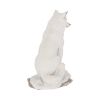 Ghost Wolf 19.5cm Wolves Gifts Under £100
